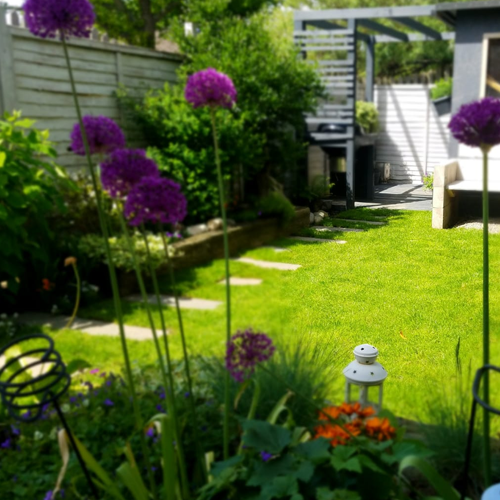 Soft  landscaping